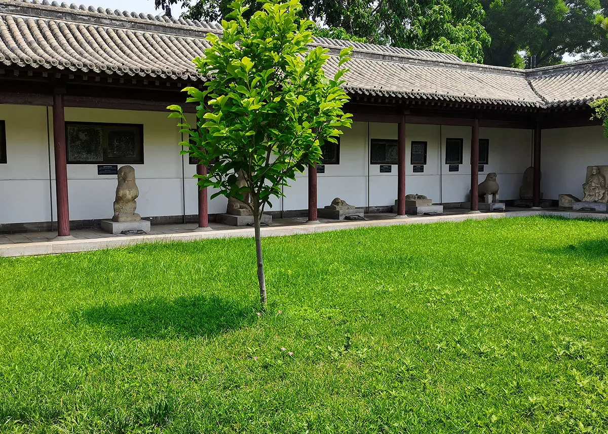 陈列馆 · 院内环境